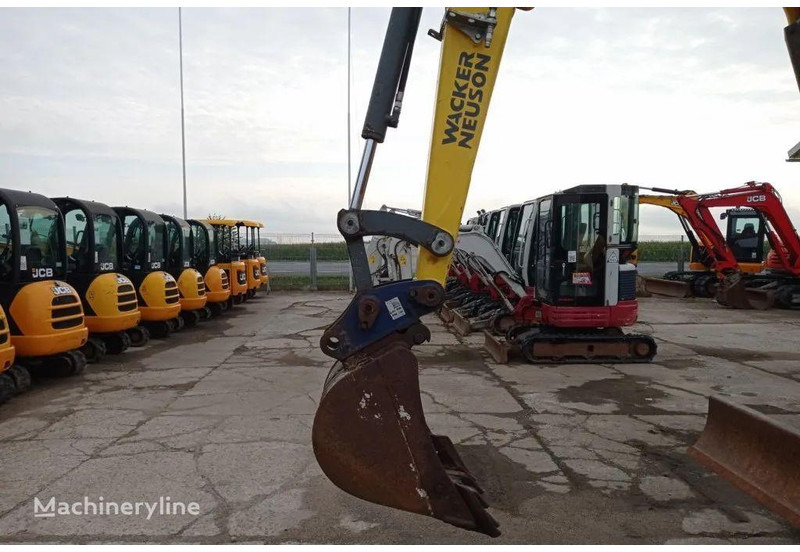 WACKER NEUSON 50Z3 Mini excavator - מיני מחפר: תמונה 4 WACKER NEUSON 50Z3 Mini excavator - מיני מחפר: תמונה 4