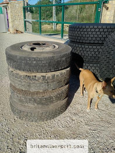 4 x used 7.50-16 LT tyres on 6 studs rims for Toyota Dyna 300 - חבילת גלגלים וצמיגים: תמונה 3 4 x used 7.50-16 LT tyres on 6 studs rims for Toyota Dyna 300 - חבילת גלגלים וצמיגים: תמונה 3