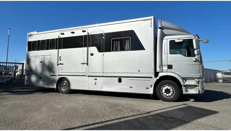 MAN TGM 15.250 5 horses and living brand Krismar - משאית סוסים: תמונה 1 MAN TGM 15.250 5 horses and living brand Krismar - משאית סוסים: תמונה 1
