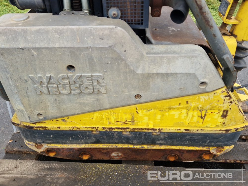 Wacker Neuson DPU6555HE - לוח רטט: תמונה 5 Wacker Neuson DPU6555HE - לוח רטט: תמונה 5