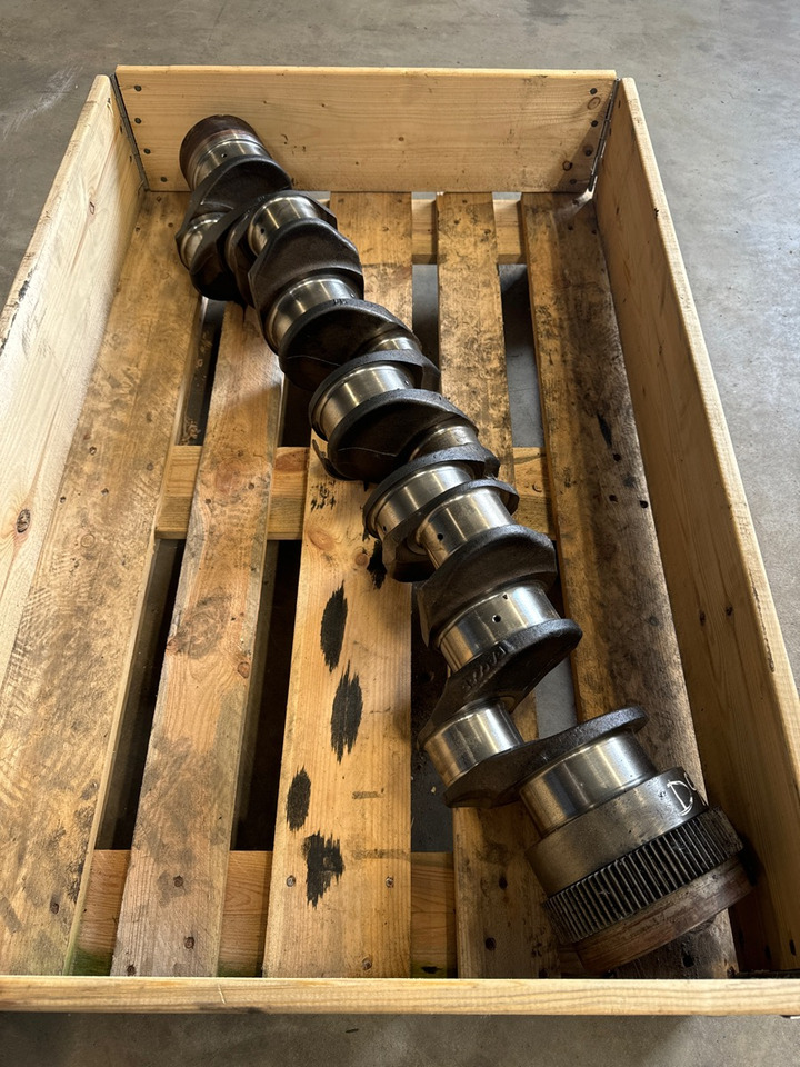 DAF CRANKSHAFT 2007501 - מנוע וחלקים עבור משאית: תמונה 1 DAF CRANKSHAFT 2007501 - מנוע וחלקים עבור משאית: תמונה 1