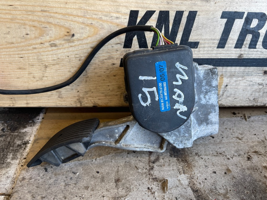 MAN GAS PEDAL 81.25970-6100 - תא ופנים הרכב עבור משאית: תמונה 2 MAN GAS PEDAL 81.25970-6100 - תא ופנים הרכב עבור משאית: תמונה 2