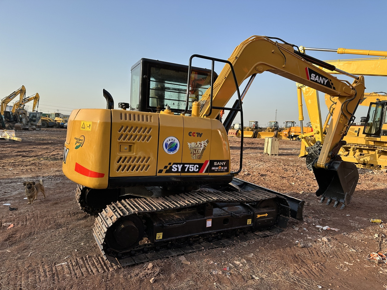 SANY 75C - מיני מחפר: תמונה 3 SANY 75C - מיני מחפר: תמונה 3