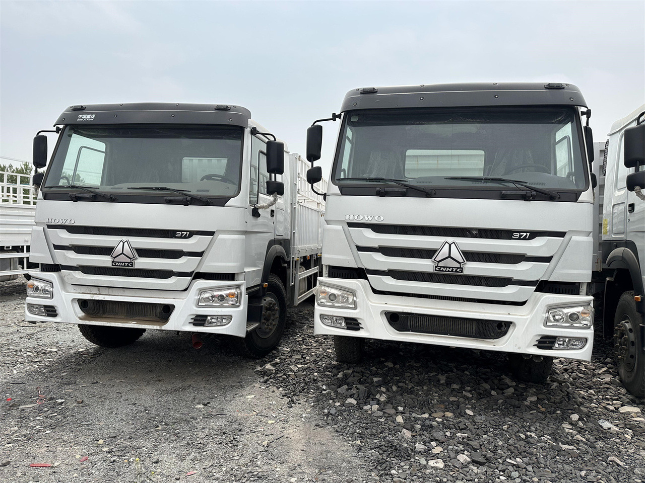 SINOTRUK HOWO 371 Cargo truck - משאית להובלת בעלי חיים: תמונה 1 SINOTRUK HOWO 371 Cargo truck - משאית להובלת בעלי חיים: תמונה 1