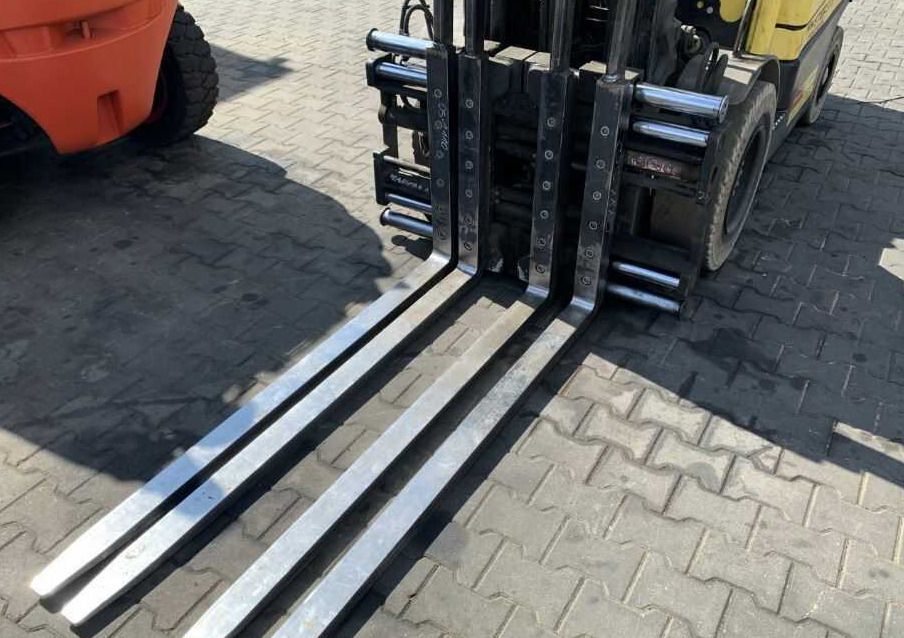 Bolzoni DS13FS - מזלגות: תמונה 1 Bolzoni DS13FS - מזלגות: תמונה 1