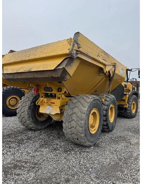 BELL B30E - שתיל גינה: תמונה 5 BELL B30E - שתיל גינה: תמונה 5