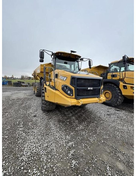 BELL B30E - שתיל גינה: תמונה 1 BELL B30E - שתיל גינה: תמונה 1