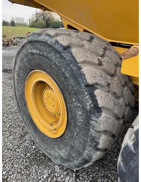 BELL B30E - שתיל גינה: תמונה 4 BELL B30E - שתיל גינה: תמונה 4