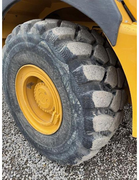 BELL B30E - שתיל גינה: תמונה 2 BELL B30E - שתיל גינה: תמונה 2