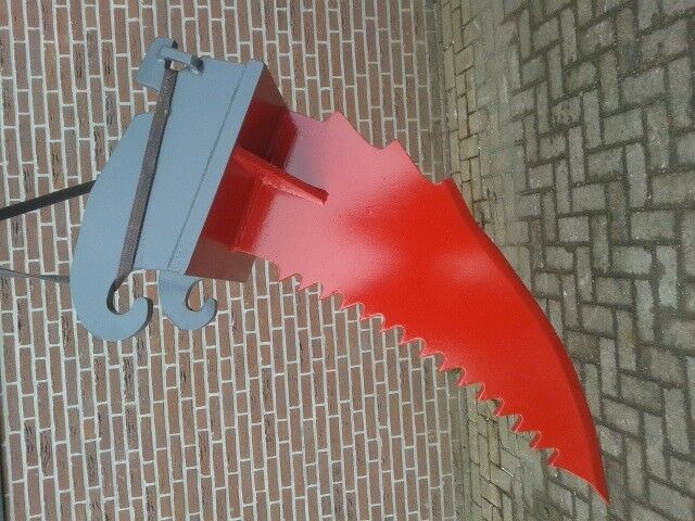 AGM wortelmes - משתת: תמונה 1 AGM wortelmes - משתת: תמונה 1