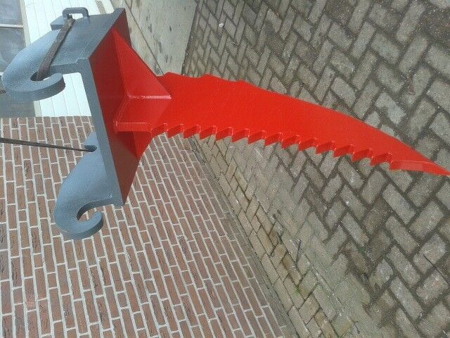 AGM wortelmes - משתת: תמונה 3 AGM wortelmes - משתת: תמונה 3