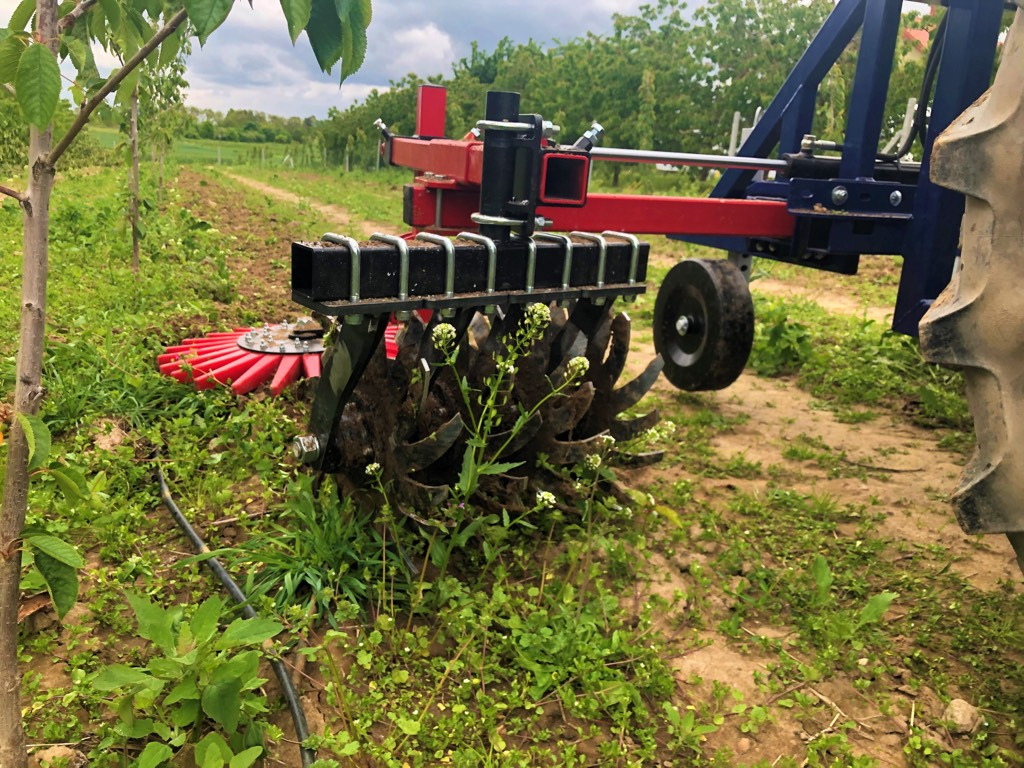 Jagoda one-sided orchard weeder KLAUDIA X1 - קלטרת: תמונה 3 Jagoda one-sided orchard weeder KLAUDIA X1 - קלטרת: תמונה 3