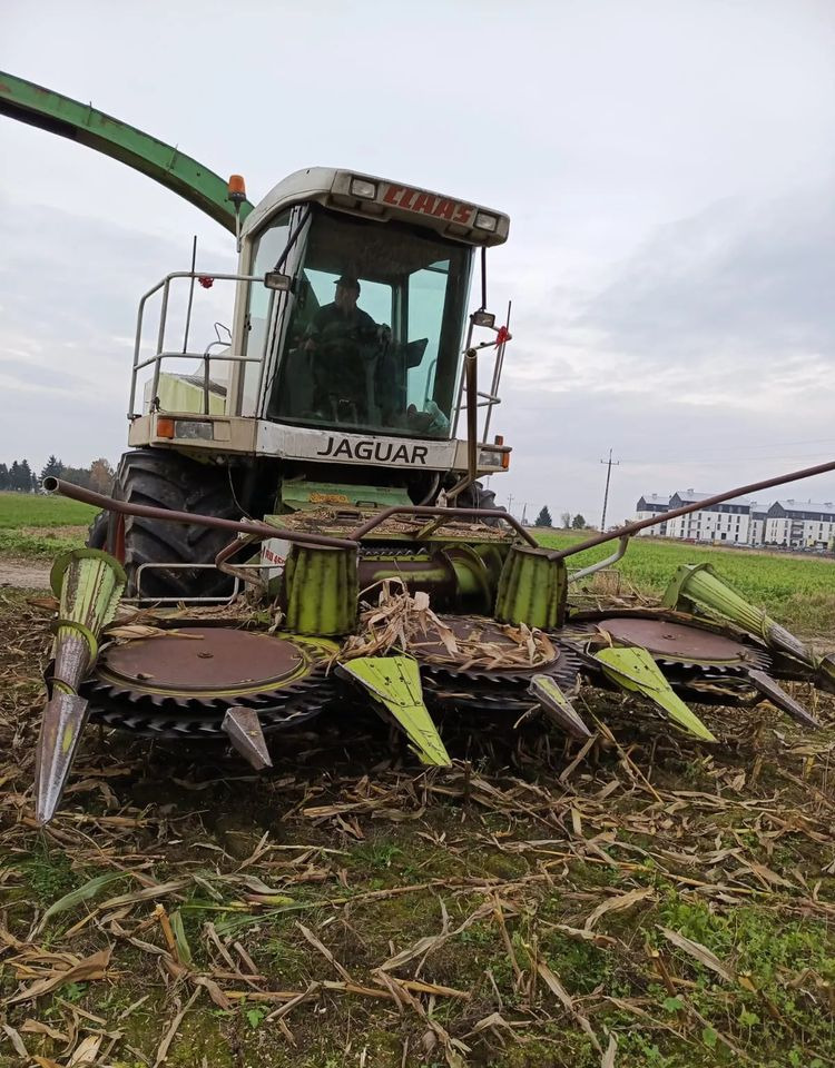Claas Jaguar 840 - מקצרת מספוא: תמונה 2 Claas Jaguar 840 - מקצרת מספוא: תמונה 2
