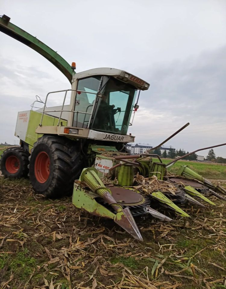 Claas Jaguar 840 - מקצרת מספוא: תמונה 1 Claas Jaguar 840 - מקצרת מספוא: תמונה 1
