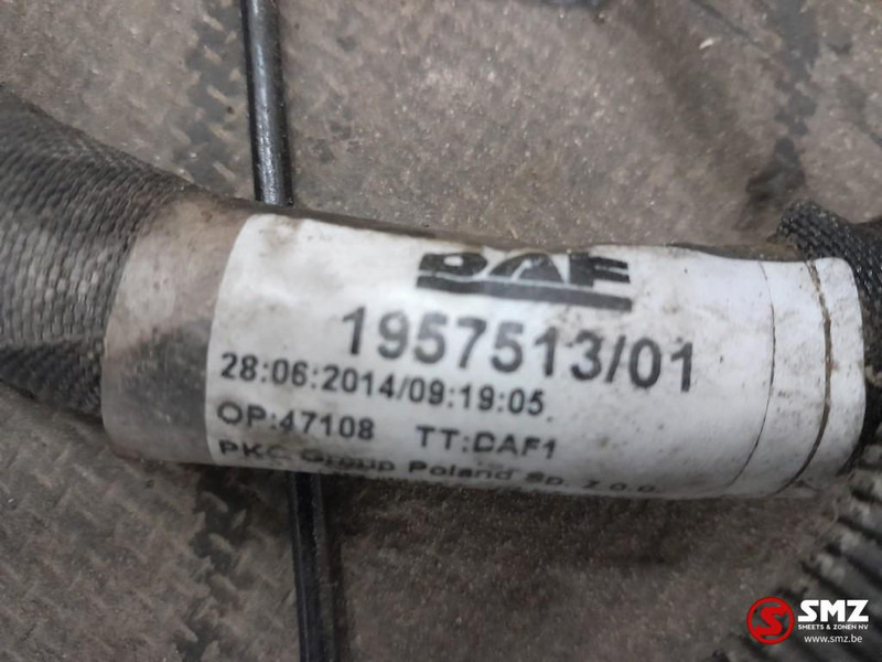 DAF Occ hoofdchassiskabelboom DAF - כבלים/ רתמת חוט עבור משאית: תמונה 3 DAF Occ hoofdchassiskabelboom DAF - כבלים/ רתמת חוט עבור משאית: תמונה 3