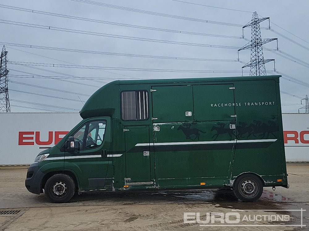 2015 Fiat Ducato 35 Multijet - משאית להובלת בעלי חיים: תמונה 2 2015 Fiat Ducato 35 Multijet - משאית להובלת בעלי חיים: תמונה 2