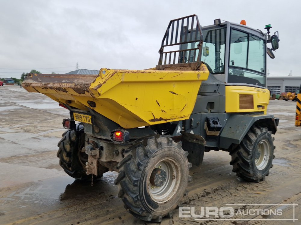 2019 Wacker Neuson DV60 - מיני מסיר פסולת: תמונה 5 2019 Wacker Neuson DV60 - מיני מסיר פסולת: תמונה 5