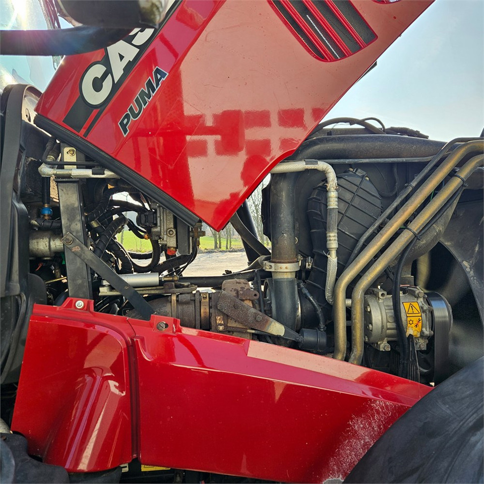 טרקטור חקלאי CASE IH Puma 230 CVX: תמונה 34