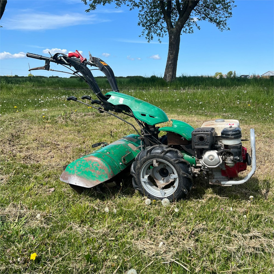 Ferrari MC 328 - שתיל גינה: תמונה 1 Ferrari MC 328 - שתיל גינה: תמונה 1