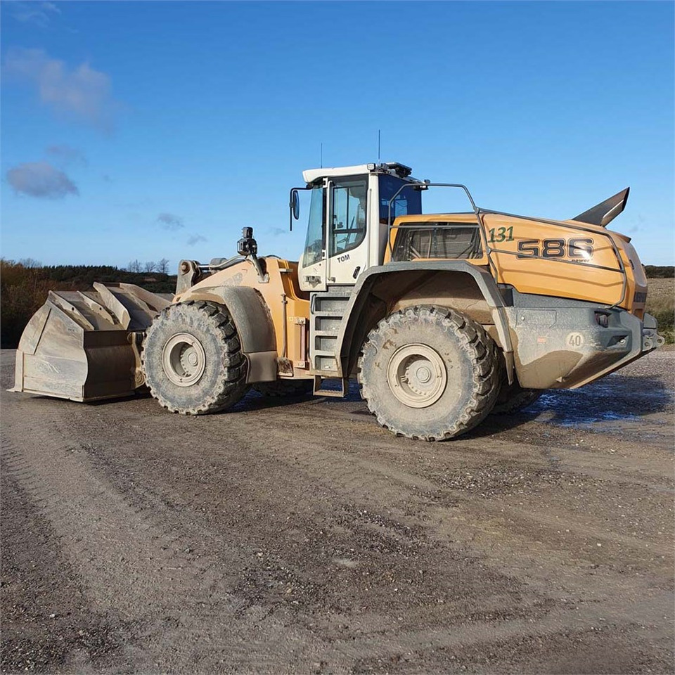 Liebherr L586 XPower - מעמיס גלגלים: תמונה 1 Liebherr L586 XPower - מעמיס גלגלים: תמונה 1