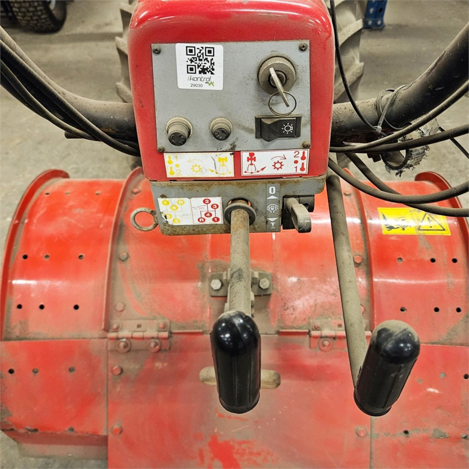 Nibbi MAK7 - שתיל גינה: תמונה 5 Nibbi MAK7 - שתיל גינה: תמונה 5