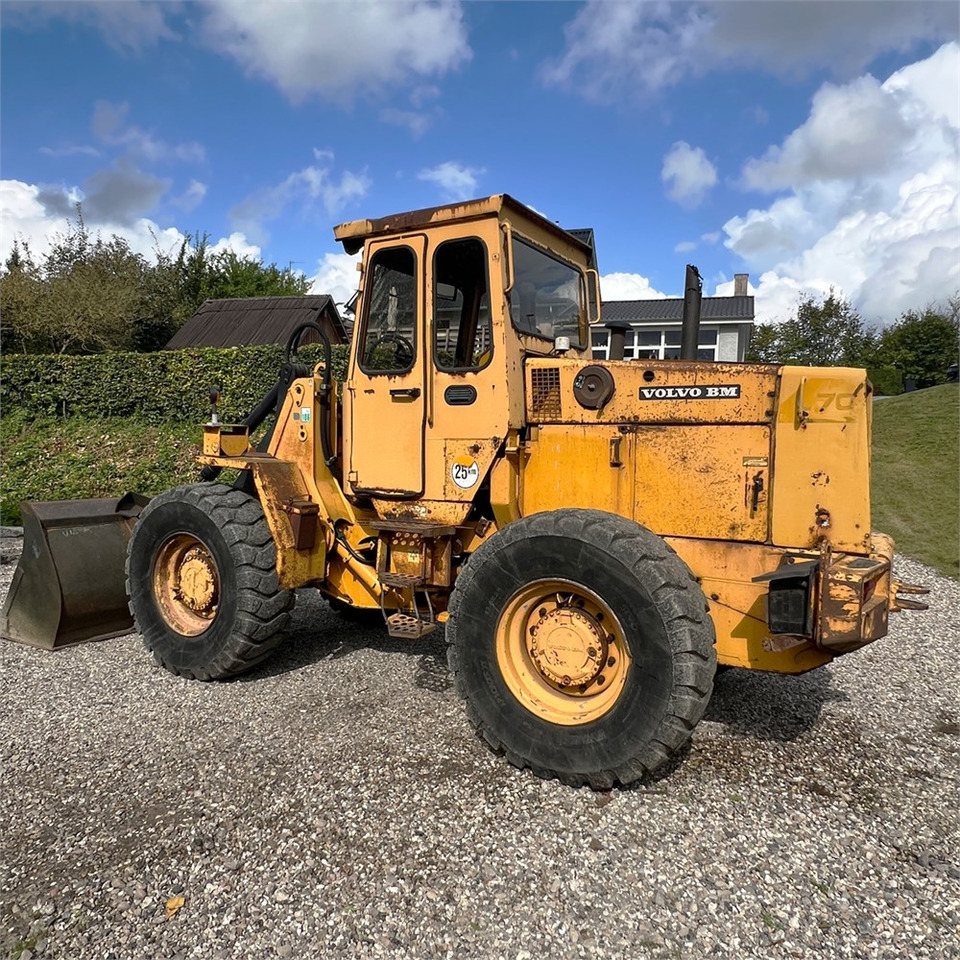Volvo L50 - מעמיס גלגלים: תמונה 3 Volvo L50 - מעמיס גלגלים: תמונה 3