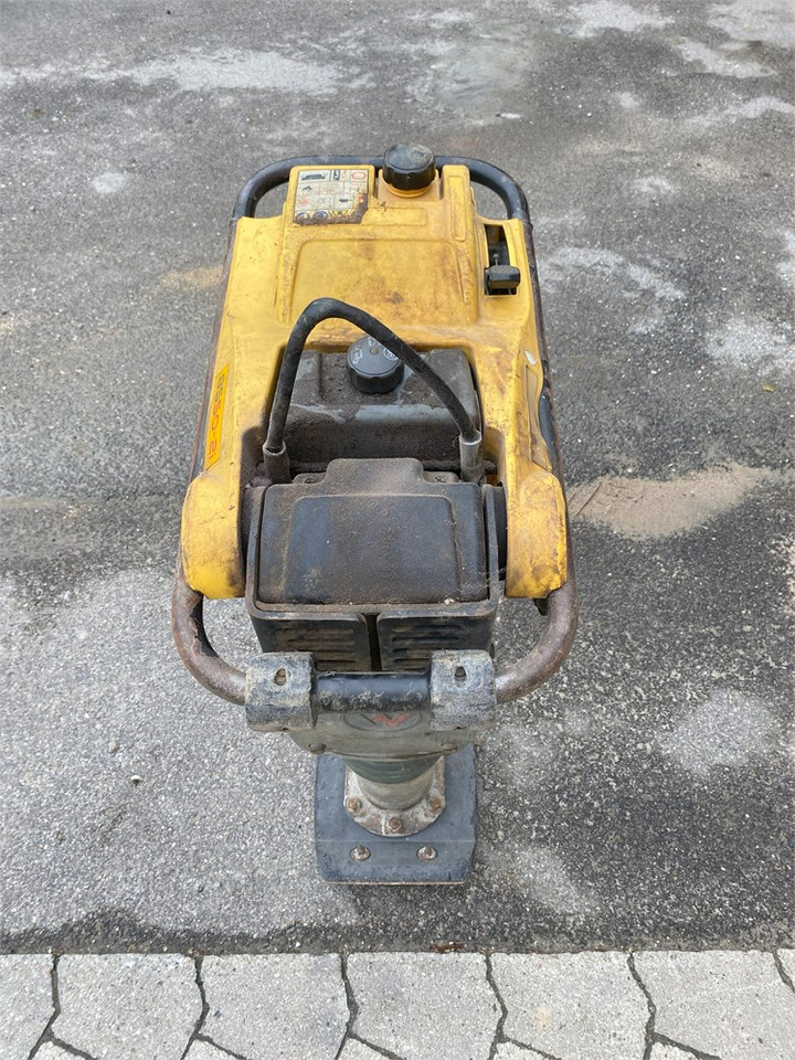 Wacker Neuson Rammer BS 50 - 2i - הלמן: תמונה 2 Wacker Neuson Rammer BS 50 - 2i - הלמן: תמונה 2
