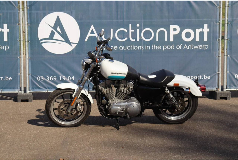 Harley-Davidson SPORTSTER XL883 SUPER LOW - אופנוע: תמונה 1 Harley-Davidson SPORTSTER XL883 SUPER LOW - אופנוע: תמונה 1