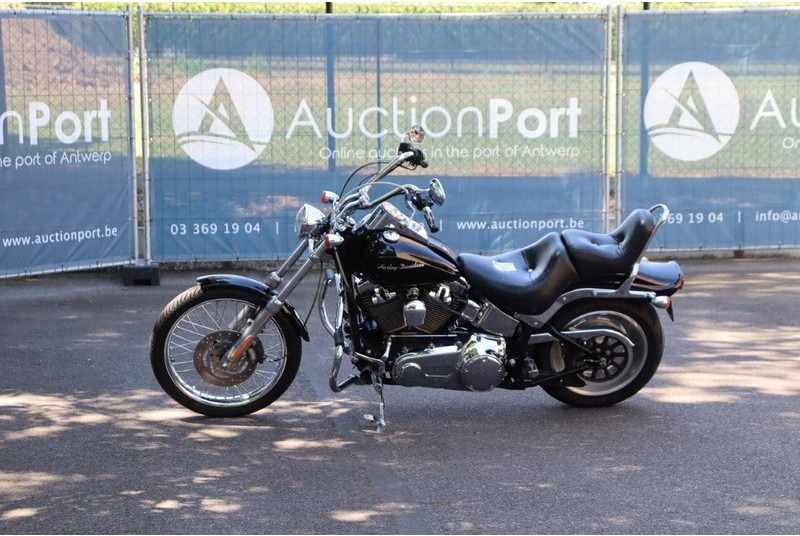 Harley-Davidson Softail Custom - אופנוע: תמונה 1 Harley-Davidson Softail Custom - אופנוע: תמונה 1