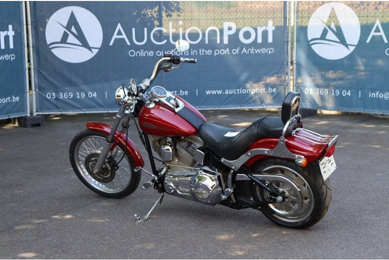 Harley-Davidson Softail Standard - אופנוע: תמונה 3 Harley-Davidson Softail Standard - אופנוע: תמונה 3