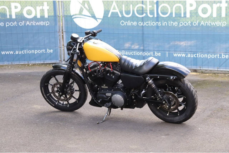 Harley-Davidson Sporster XL 883 Iron - אופנוע: תמונה 3 Harley-Davidson Sporster XL 883 Iron - אופנוע: תמונה 3