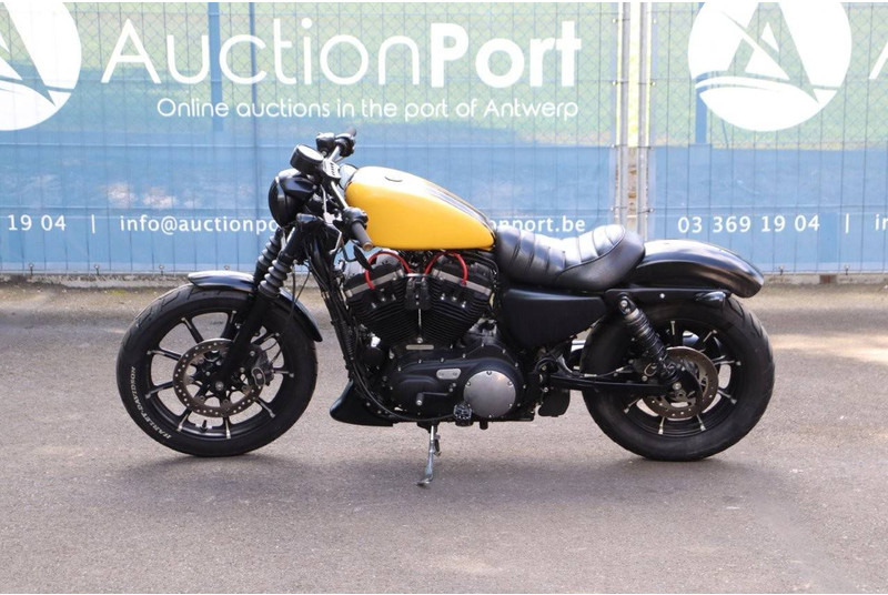 Harley-Davidson Sporster XL 883 Iron - אופנוע: תמונה 2 Harley-Davidson Sporster XL 883 Iron - אופנוע: תמונה 2