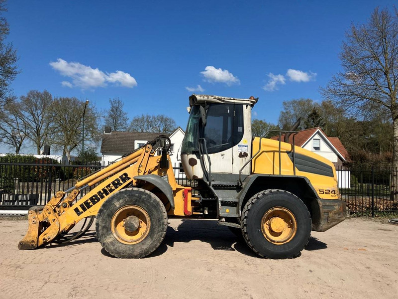 Liebherr L524 - מעמיס גלגלים: תמונה 2 Liebherr L524 - מעמיס גלגלים: תמונה 2