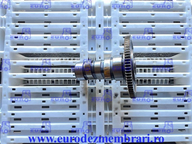 AX CU CAME POMPE DE INALTA PRESIUNE DAF XF106 MX-11 H1 1958279, 1911804, 2187738 - גל זיזים עבור משאית: תמונה 1 AX CU CAME POMPE DE INALTA PRESIUNE DAF XF106 MX-11 H1 1958279, 1911804, 2187738 - גל זיזים עבור משאית: תמונה 1