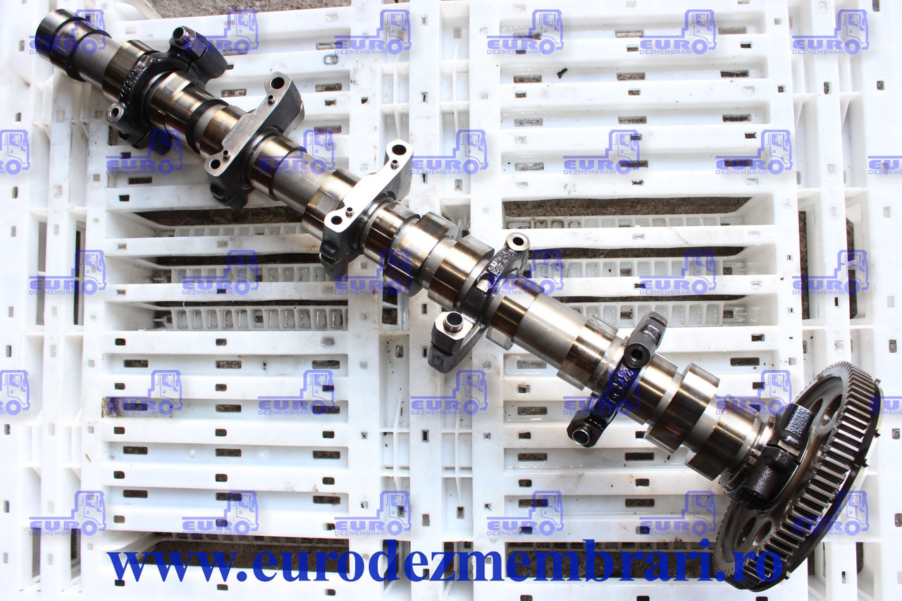 AX CU CAME RENAULT DTI11 21745877 - גל זיזים עבור משאית: תמונה 1 AX CU CAME RENAULT DTI11 21745877 - גל זיזים עבור משאית: תמונה 1