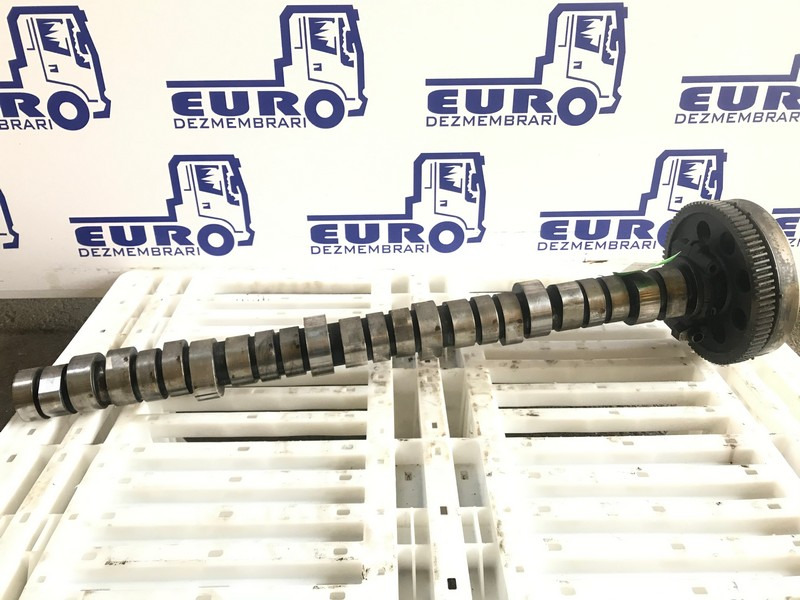 AX CU CAME RENAULT DXI 11 20746807 - גל זיזים עבור משאית: תמונה 1 AX CU CAME RENAULT DXI 11 20746807 - גל זיזים עבור משאית: תמונה 1