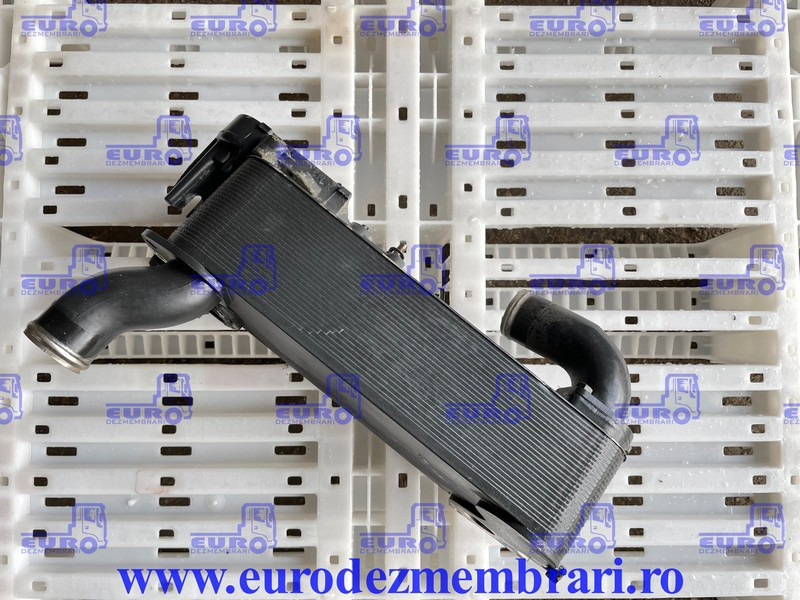 RADIATOR ULEI INTARDER TRAXON IVECO S-WAY 0501221840 - מקרר שמן עבור משאית: תמונה 1 RADIATOR ULEI INTARDER TRAXON IVECO S-WAY 0501221840 - מקרר שמן עבור משאית: תמונה 1