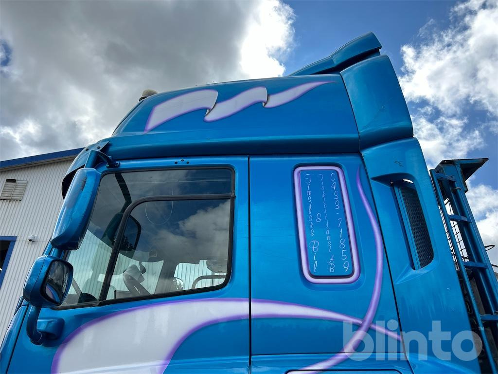 משאית עם שלדת תא DAF: תמונה 10 משאית עם שלדת תא DAF: תמונה 10