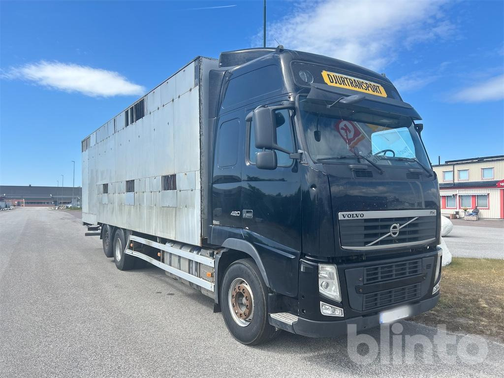 VOLVO FH 6X2 - משאית להובלת בעלי חיים: תמונה 4 VOLVO FH 6X2 - משאית להובלת בעלי חיים: תמונה 4