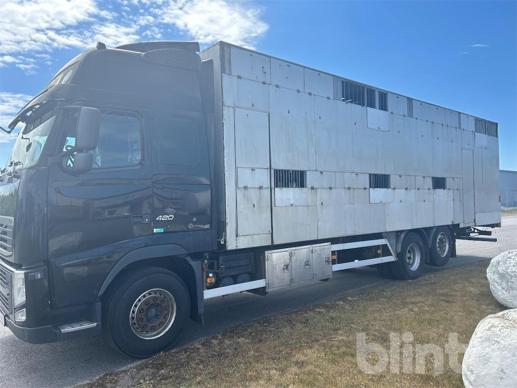 VOLVO FH 6X2 - משאית להובלת בעלי חיים: תמונה 1 VOLVO FH 6X2 - משאית להובלת בעלי חיים: תמונה 1