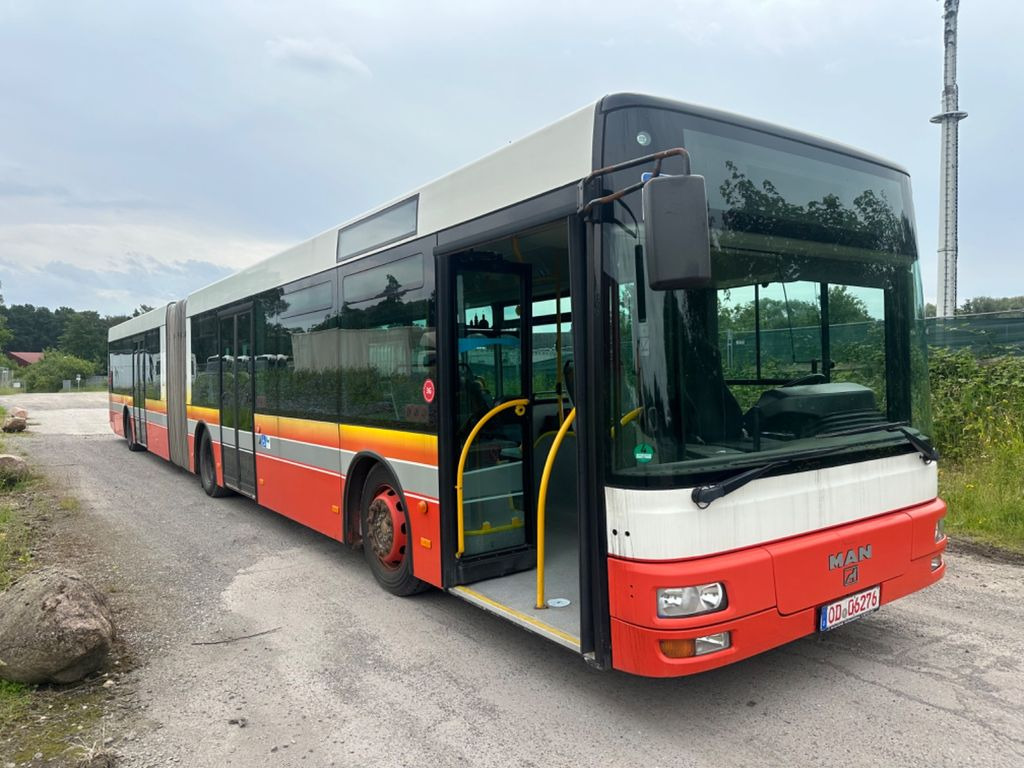 MAN A 23 Lion´s City G (TÜV 10/2024) - אוטובוס מפרקי: תמונה 2 MAN A 23 Lion´s City G (TÜV 10/2024) - אוטובוס מפרקי: תמונה 2