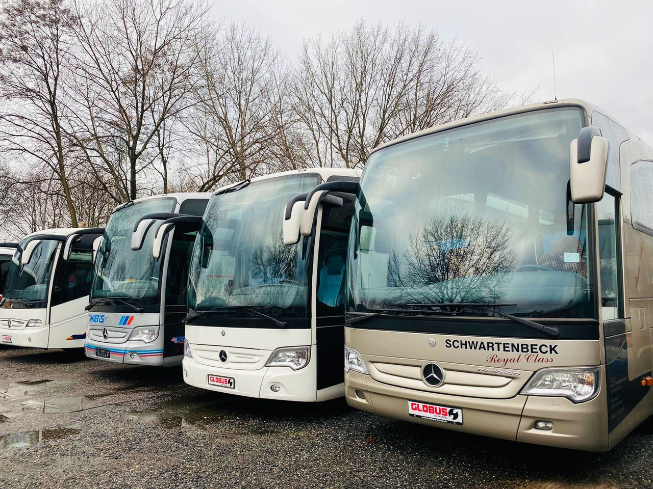 אוטובוס בין עירוני Temsa HD 13 HCD (57Sitze*Euro6*TOP) Tourismo M: תמונה 26