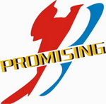 QINGDAO PROMISING INTERNATIONAL CO., LTD. ב־Truck1